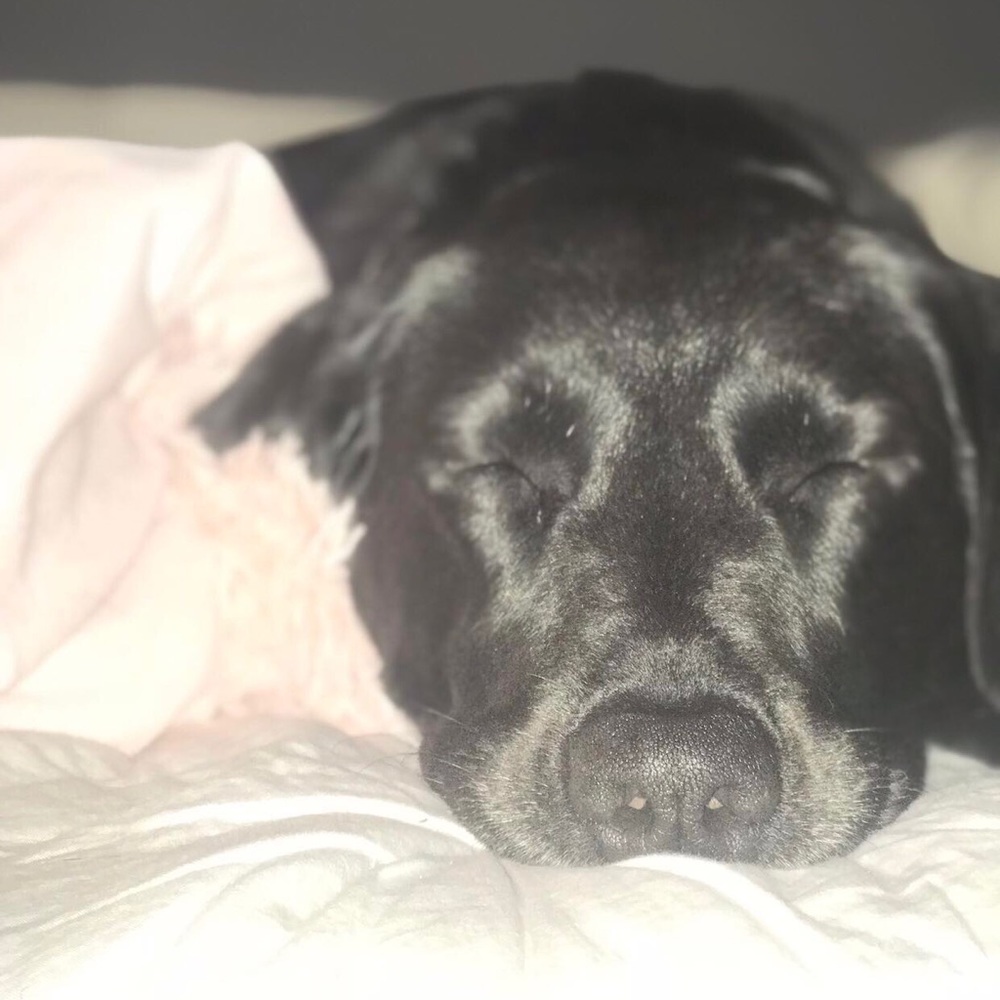 Meet your Posher, Keira